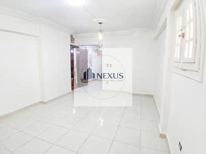 Office for Rent in Laurent, Alexandria - WhatsApp Image 2026-06-26 at 3.10. 03 PM (3). jpeg