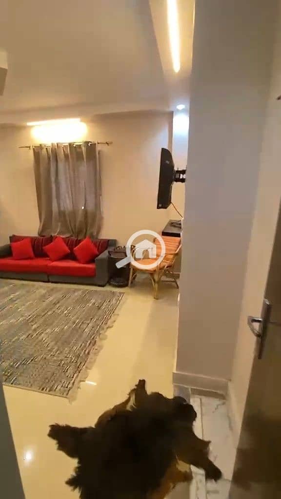 Furnished apartment for rent in Sheikh Zayed district 5 – pohled 6