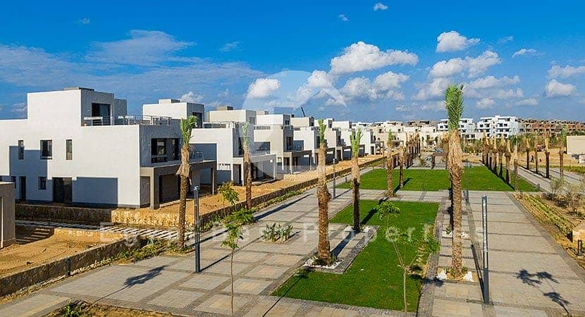 7 img_-هيلز-الاسكندرية. jpg