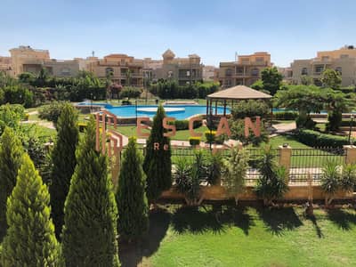 5 Bedroom Villa for Sale in New Cairo, Cairo - WhatsApp Image 2026-06-29 at 4.37. 04 PM. jpeg 5 Bedroom Villa for Sale in New Cairo, Cairo - WhatsApp Image 2026-06-29 at 4.37. 04 PM. jpeg