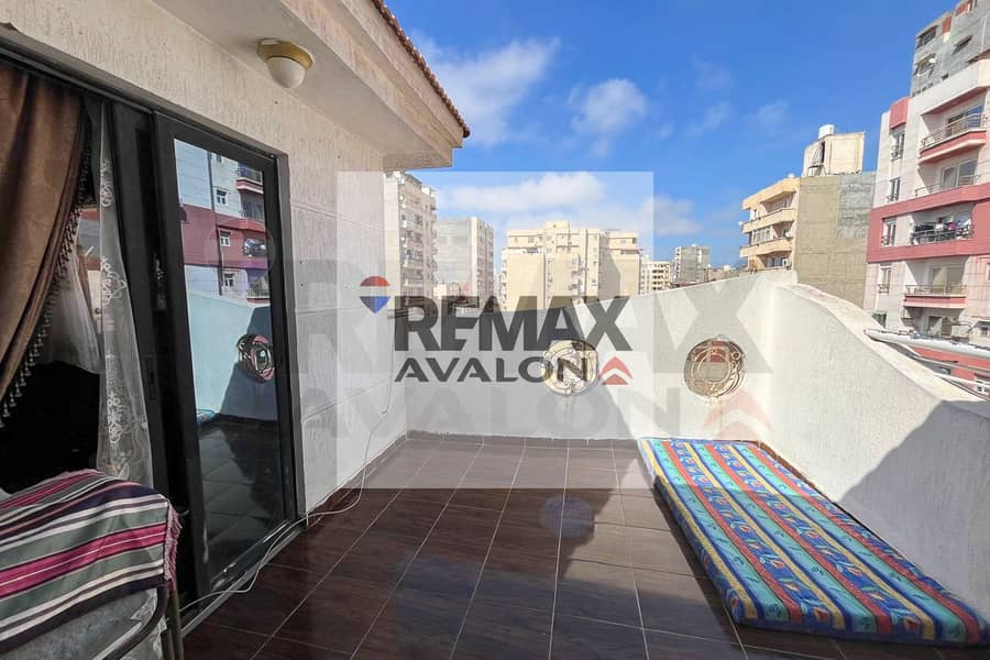 Apartment for Sale in Camp Chezar (Mohamed Fouad St. ) – pohled 3