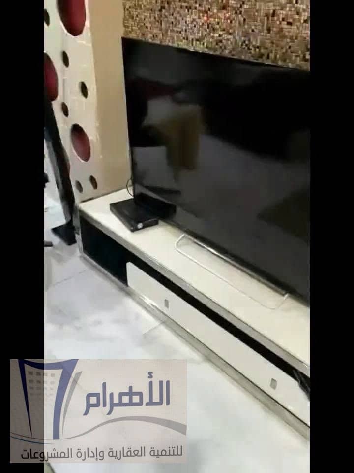 8 736065648_907177649072207_8390425206491709699_n. jpeg
