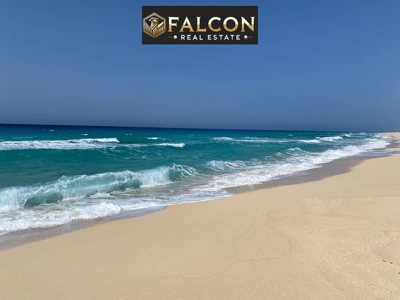 4 WhatsApp Image 2023-07-24 at 13.56. 58. jpg