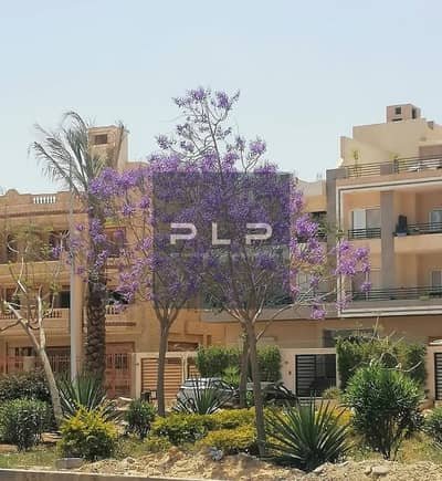 3 Bedroom Villa for Sale in New Cairo, Cairo - WhatsApp Image 2026-06-24 at 2.35. 37 PM. jpeg