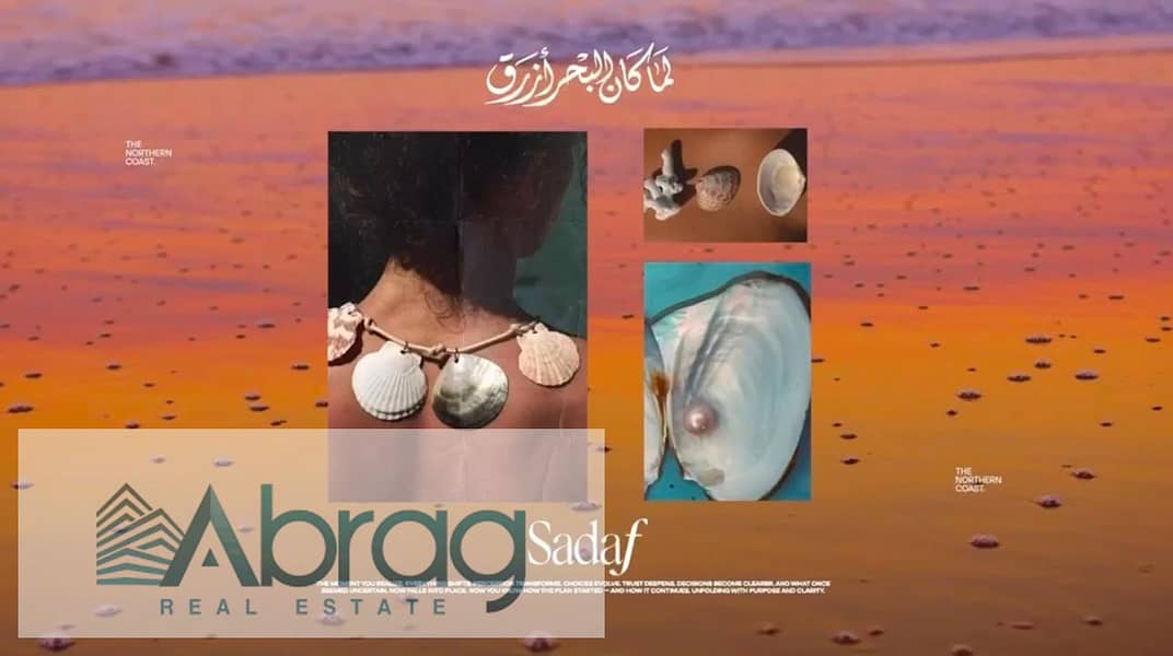 8 صدف (6). jpeg