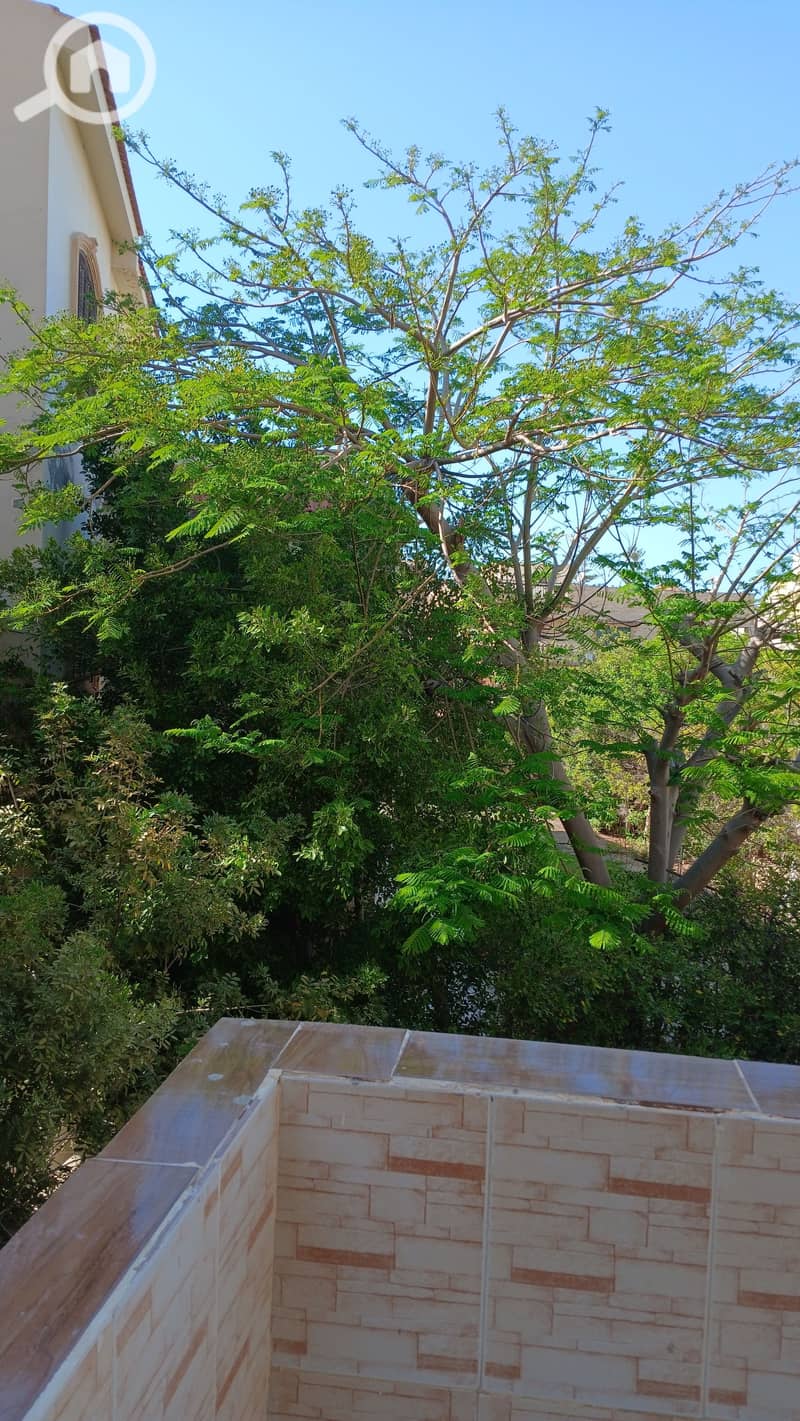 19 20260531_164854. jpg