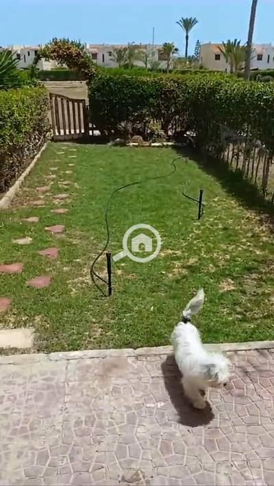 2 Bedroom Chalet for Rent in North Coast, Matruh - IMG-20260629-WA0040. jpg 2 Bedroom Chalet for Rent in North Coast, Matruh - IMG-20260629-WA0040. jpg