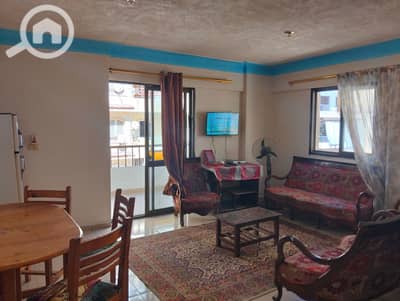 2 Bedroom Flat for Rent in Nakheel, Alexandria - 1000887089. jpg