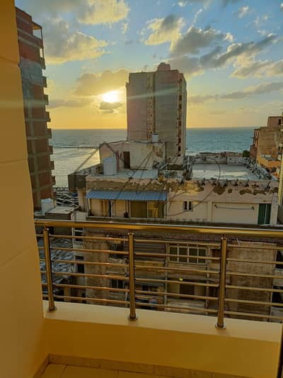 3 Bedroom Apartment for Sale in Miami, Alexandria - WhatsApp Image 2026-06-29 at 9.07. 18 PM (3). jpeg 3 Bedroom Apartment for Sale in Miami, Alexandria - WhatsApp Image 2026-06-29 at 9.07. 18 PM (3). jpeg