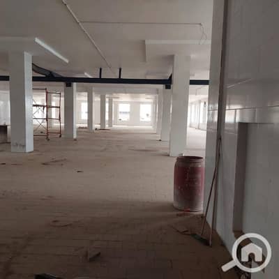 مصنع للايجار في العبور، القاهرة - 1000597909. jpg مصنع للايجار في العبور، القاهرة - 1000597909. jpg