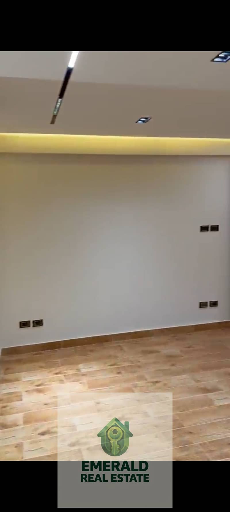 38 1000645578. jpg