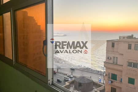 3 Bedroom Flat for Sale in Hay Wasat, Alexandria - 1 (1). jpg