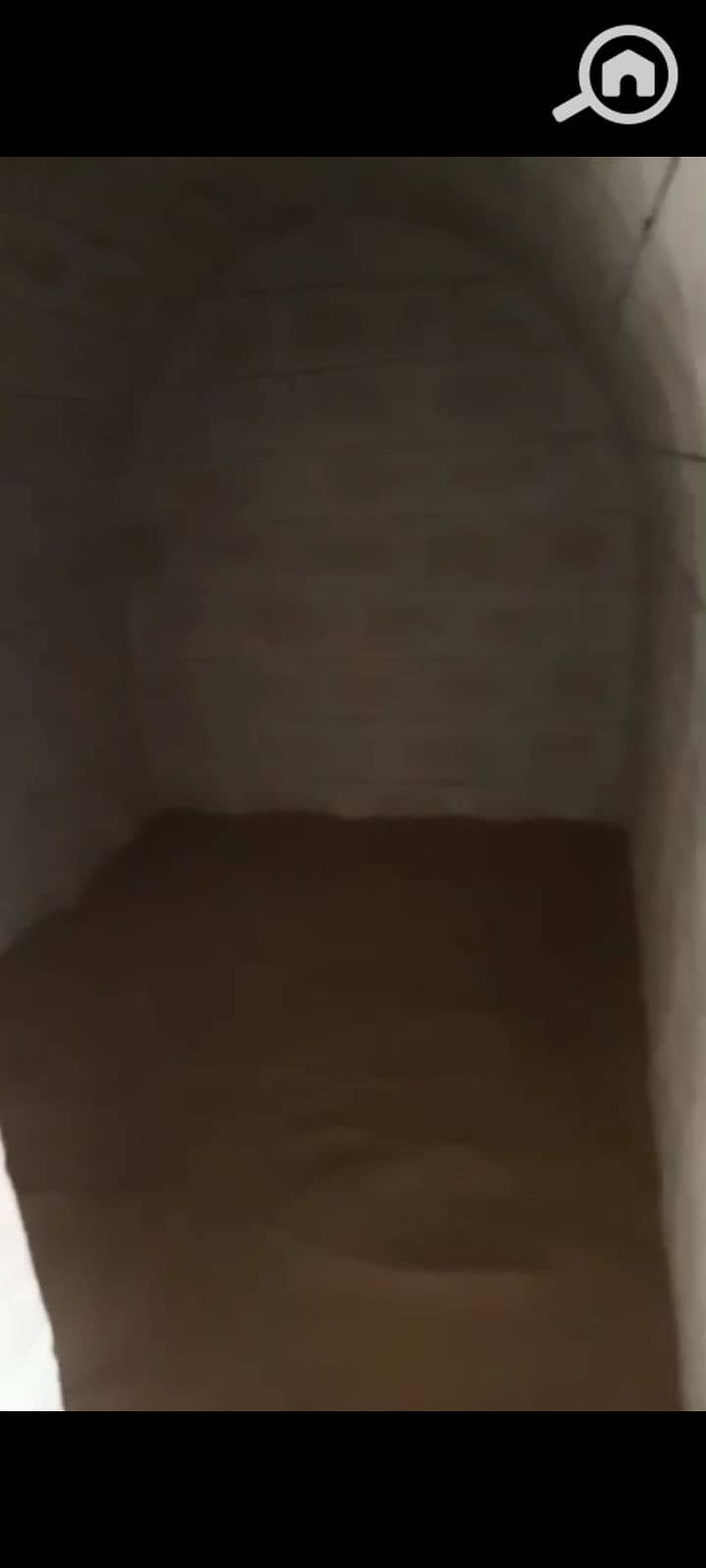 5 1000318203. png