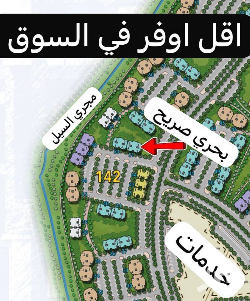 2 1000024490. jpg