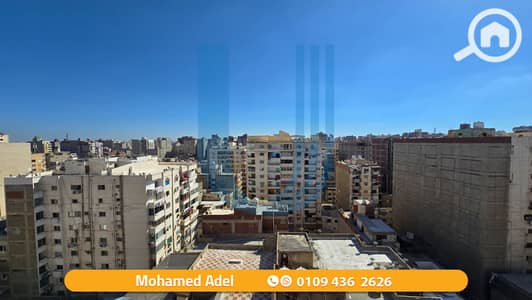 شقة 3 غرف نوم للبيع في العصافرة، الإسكندرية - 9. png شقة 3 غرف نوم للبيع في العصافرة، الإسكندرية - 9. png