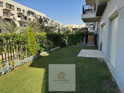 3 Bedroom Apartment for Rent in New Cairo, Cairo - 1000793884. jpg 3 Bedroom Apartment for Rent in New Cairo, Cairo - 1000793884. jpg