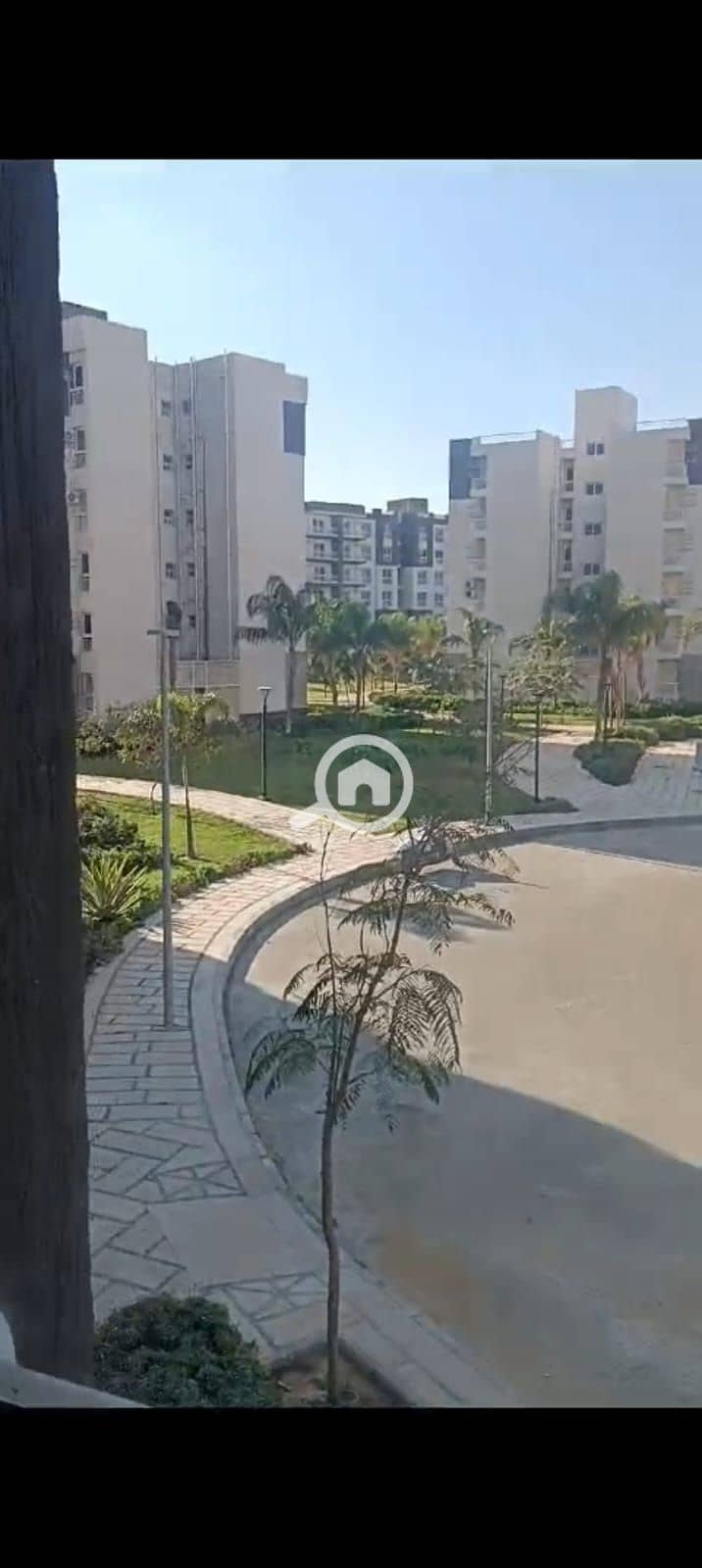 3 1000546918. jpg