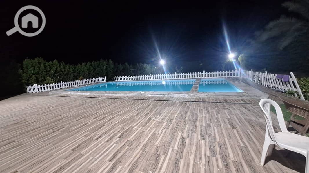 6 151479. jpg