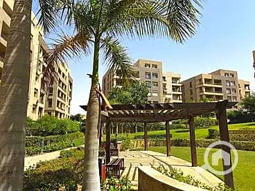 6 IMG_4524. webp