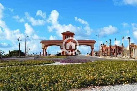 4 Bedroom Twin House for Sale in Agami, Alexandria - WhatsApp Image 2026-06-30 at 13.35. 08. jpeg