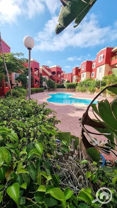 2 Bedroom Chalet for Sale in North Coast, Matruh - WhatsApp Image 2026-06-30 at 3.56. 38 PM (1). jpeg 2 Bedroom Chalet for Sale in North Coast, Matruh - WhatsApp Image 2026-06-30 at 3.56. 38 PM (1). jpeg
