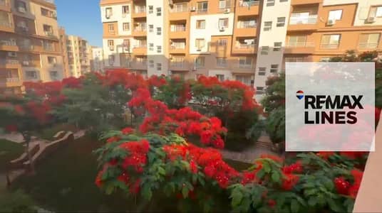 2 Bedroom Apartment for Rent in Madinaty, Cairo - 1000090206. jpg