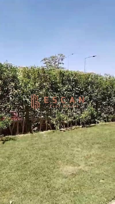 2 Bedroom Flat for Rent in New Cairo, Cairo - WhatsApp Image 2026-06-30 at 6.40. 31 PM. jpeg 2 Bedroom Flat for Rent in New Cairo, Cairo - WhatsApp Image 2026-06-30 at 6.40. 31 PM. jpeg