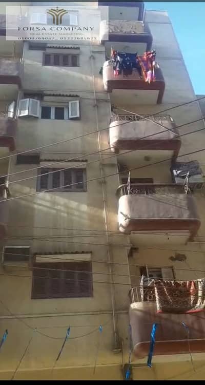 10+ Beds Other Residential for Sale in Tanta, Gharbia - WhatsApp Image 2026-06-30 at 9.08. 33 PM. jpeg
