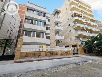 فیلا 9 غرف نوم للبيع في النخيل، الإسكندرية - 6882cbb9-7f5d-432a-95b1-a3beb3fe6675. jpg فیلا 9 غرف نوم للبيع في النخيل، الإسكندرية - 6882cbb9-7f5d-432a-95b1-a3beb3fe6675. jpg
