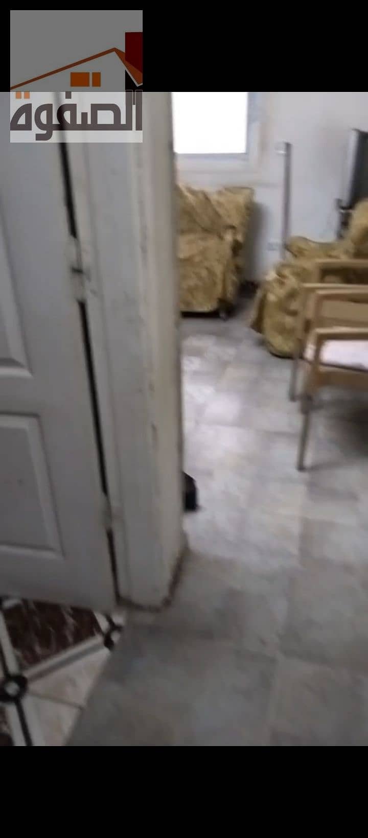 12 1000224996. jpg