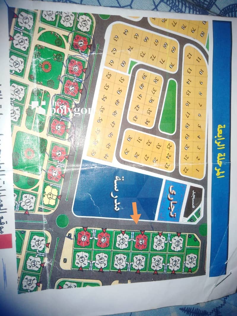 4 WhatsApp Image 2026-02-03 at 12.20. 45 . jpeg