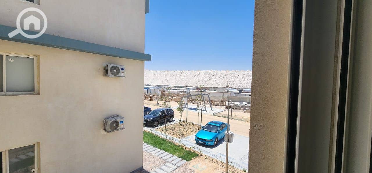 7 164286. jpg