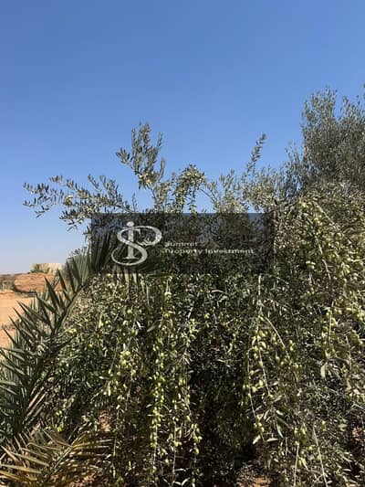 Agricultural Land for Sale in 10th of Ramadan, Sharqia - WhatsApp Image 2026-02-02 at 10.54. 05 AM (1). jpeg Agricultural Land for Sale in 10th of Ramadan, Sharqia - WhatsApp Image 2026-02-02 at 10.54. 05 AM (1). jpeg