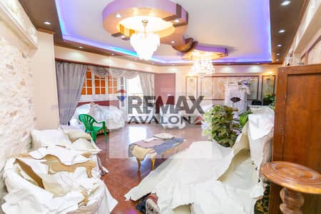 شقة 4 غرف نوم للبيع في سموحة، الإسكندرية - 1. jpg