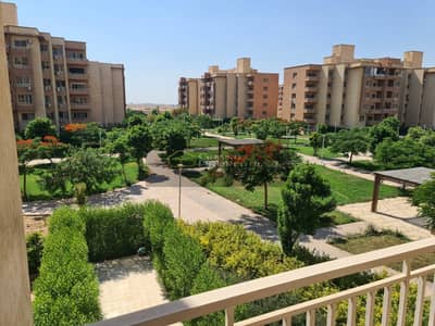 3 Bedroom Apartment for Rent in Shorouk City, Cairo - 5bac04f2-ce3d-4152-9bef-79a011c55718. jpg 3 Bedroom Apartment for Rent in Shorouk City, Cairo - 5bac04f2-ce3d-4152-9bef-79a011c55718. jpg