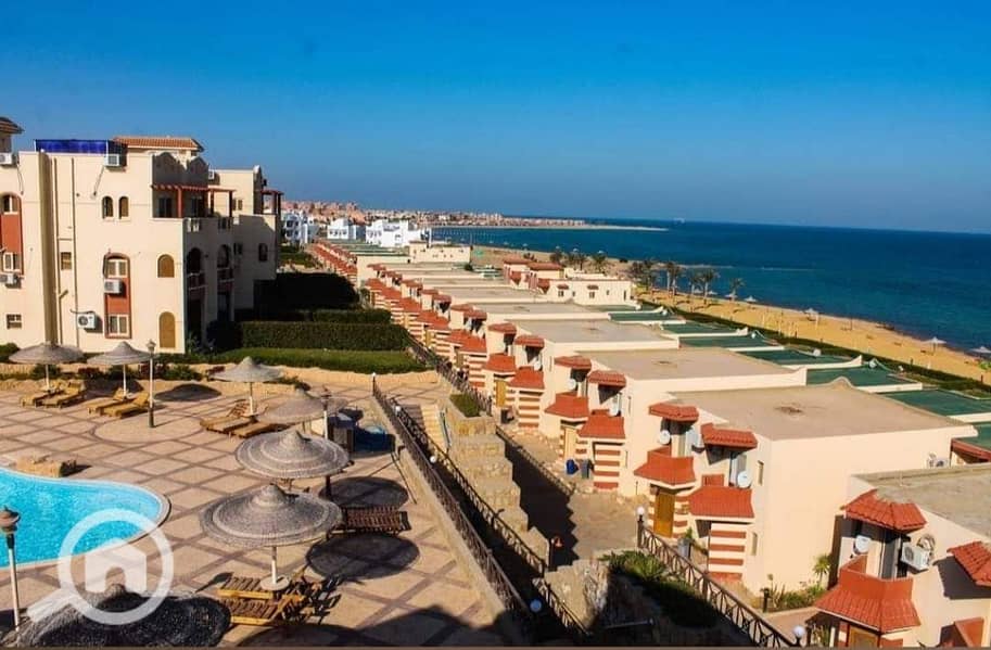 5 WhatsApp Image 2024-05-12 at 2.37. 49 PM (3). jpeg