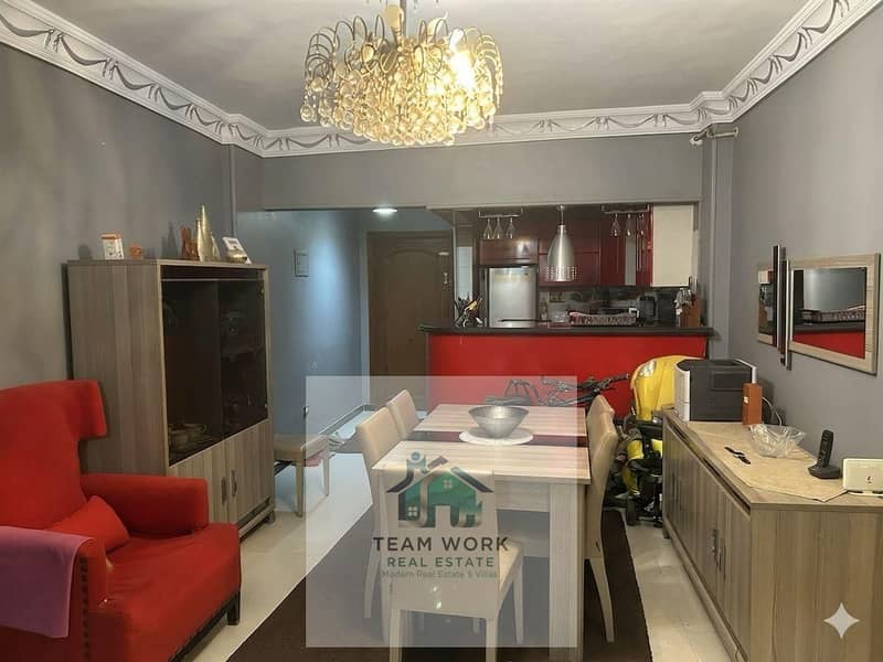 Today's bargain for sale in Sheikh Zayed | 70m² ultra-super-lux apartment, ready to move in immediately - Ansicht 3