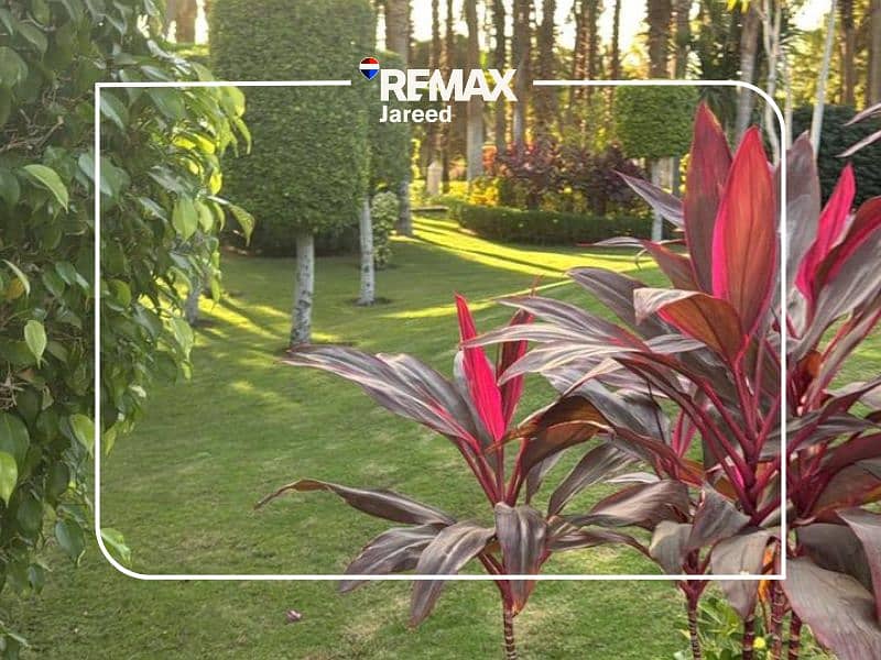 8 10. png---adff4d50bac52c418a45ee00dbbac3f3. png