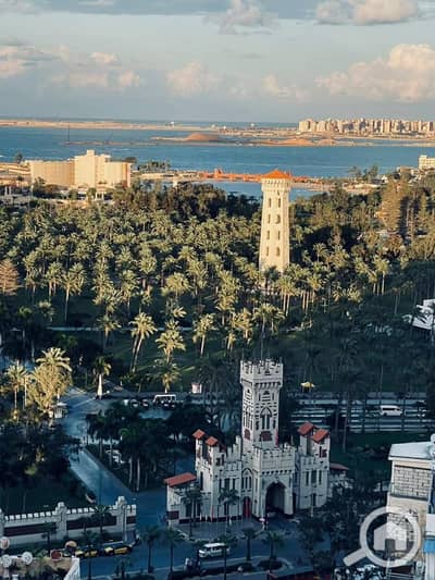3 Bedroom Apartment for Rent in Mandara, Alexandria - 680d0ac2-fa15-430c-9eb9-27276980e47c. jpg
