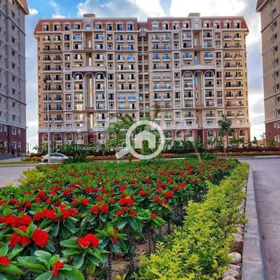 3 Bedroom Flat for Sale in Moharam Bik, Alexandria - WhatsApp Image 2026-03-17 at 10.54. 53 PM. jpg