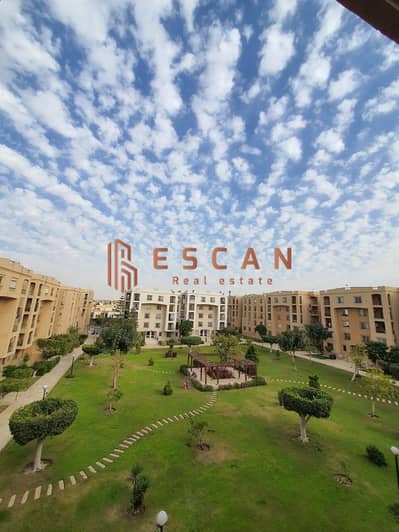 2 Bedroom Flat for Rent in New Cairo, Cairo - 8aab7496-c396-4206-b4ed-eb49154e5166. jpg 2 Bedroom Flat for Rent in New Cairo, Cairo - 8aab7496-c396-4206-b4ed-eb49154e5166. jpg