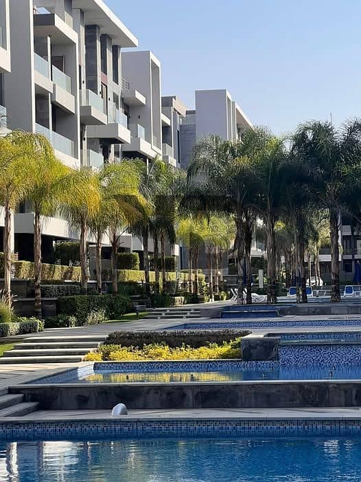 13 570390250_122266050962194116_8301254589897540899_n. jpg