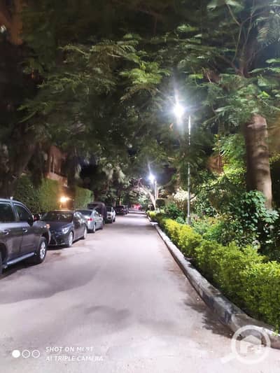 10+ Beds Villa for Sale in Maadi, Cairo - WhatsApp Image 2026-06-17 at 6.18. 36 PM. jpeg