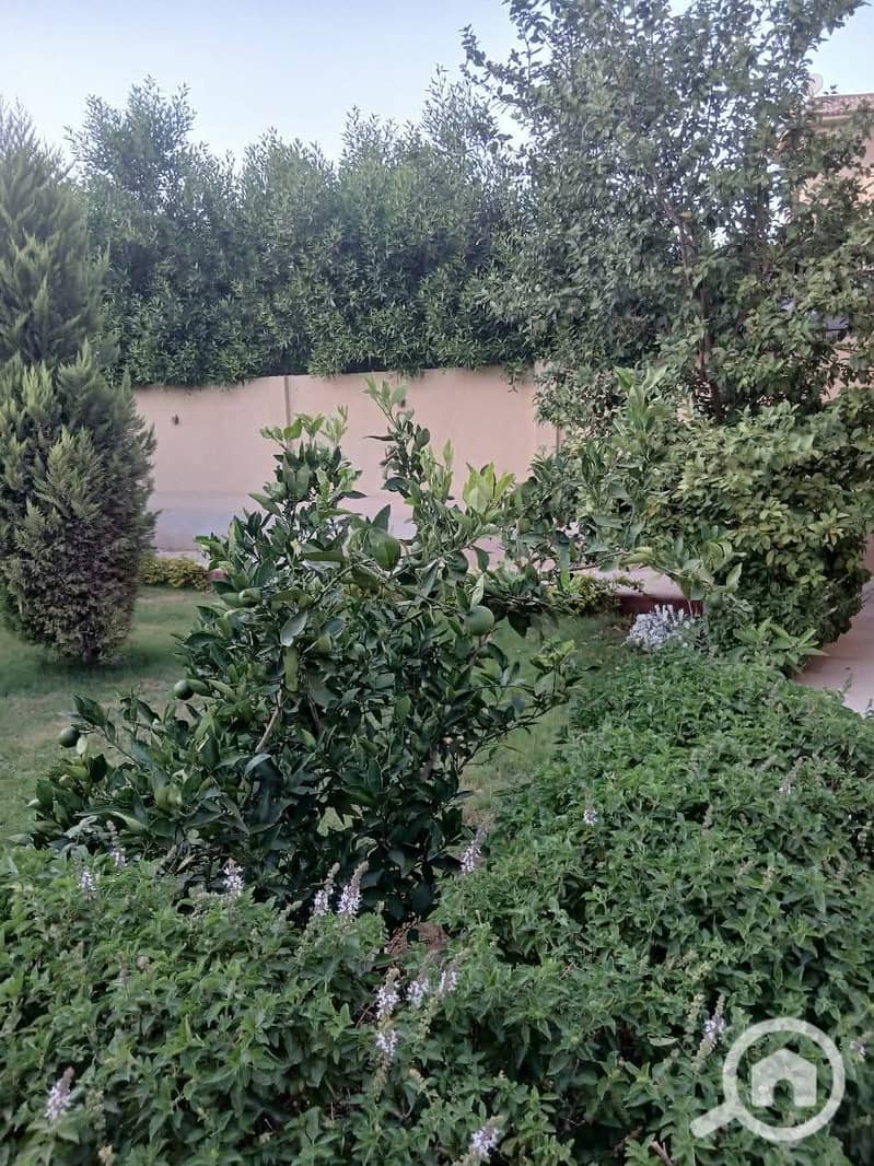 Villa for Sale – El Shorouk City – First East District (Public Prosecution Villas) - Widok 3