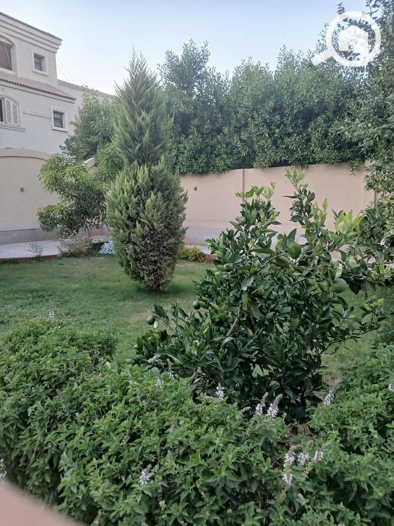 Villa for Sale – El Shorouk City – First East District (Public Prosecution Villas) - Widok 4