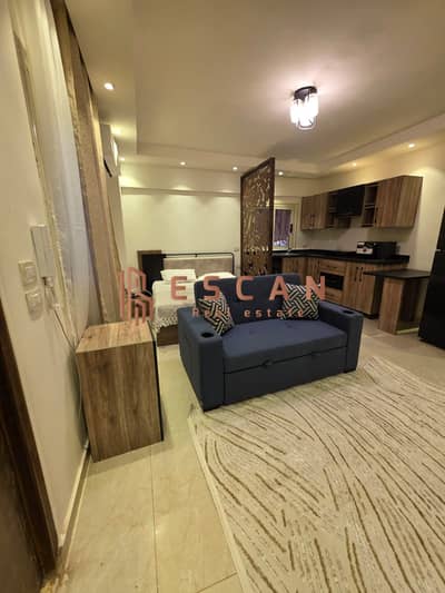 1 Bedroom Flat for Rent in New Cairo, Cairo - WhatsApp Image 2026-07-01 at 11.47. 11 AM (1). jpeg 1 Bedroom Flat for Rent in New Cairo, Cairo - WhatsApp Image 2026-07-01 at 11.47. 11 AM (1). jpeg