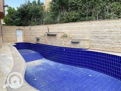 6 Bedroom Villa for Sale in New Cairo, Cairo - WhatsApp Image 2026-07-01 at 9.43. 36 PM. jpeg