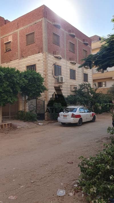 عقار سكني آخر 3 غرف نوم للبيع في العاشر من رمضان، الشرقية - WhatsApp Image 2026-07-01 at 6.22. 20 PM. jpeg عقار سكني آخر 3 غرف نوم للبيع في العاشر من رمضان، الشرقية - WhatsApp Image 2026-07-01 at 6.22. 20 PM. jpeg