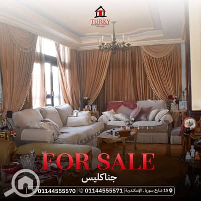 3 Bedroom Flat for Sale in Gianaclis, Alexandria - DSC_0024. JPG