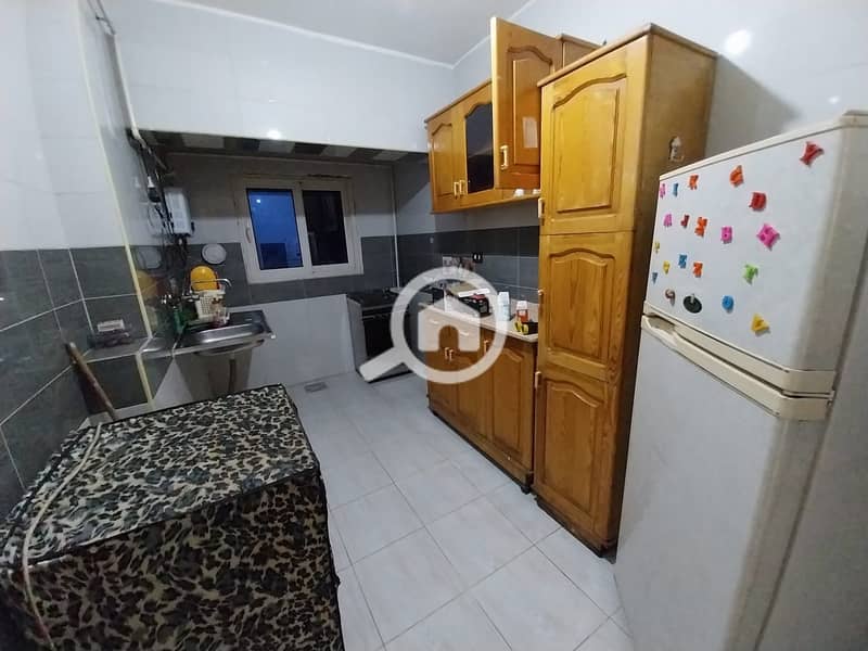 Furnished apartment for rent in Maadi, Al-Zabadi Buildings – pohled 3